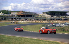 Austin Healey 3000 1965