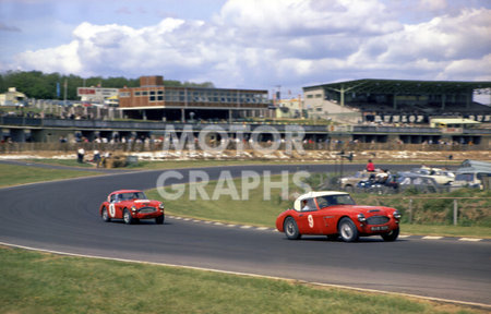 Austin Healey 3000 1965