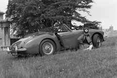 Austin Healey 3000 Mk 3 1964