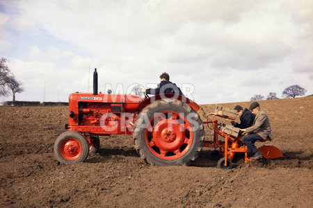 Nuffield 10/60 tractor 1965