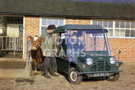 Austin Mini Moke 1967