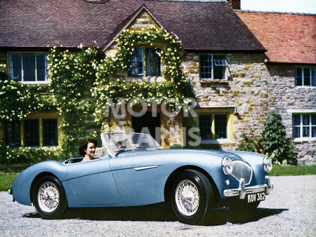 Austin Healey 100 1954