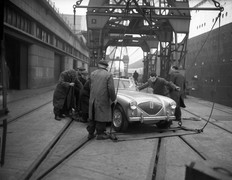 Austin Healey 100 1953