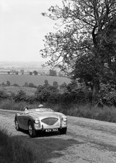 Austin Healey 100 1953