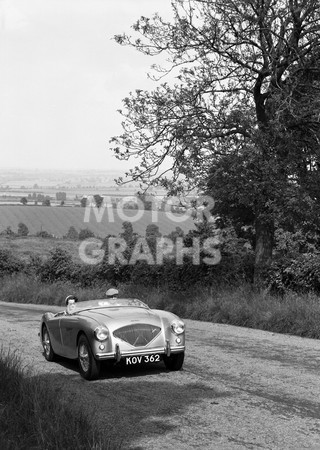 Austin Healey 100 1953