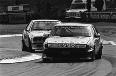 Rover Vitesse (SD1) racing 1980s