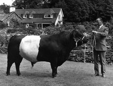 Lucas Prize Bull 1974