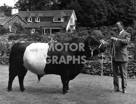 Lucas Prize Bull 1974